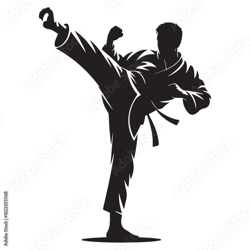 Silhouette of a martial artist performing a high side kick in a karate uniform
