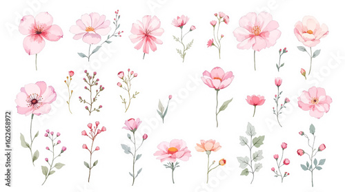 pink flowers set background