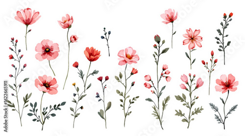 Wild flowers and leaves digital illustration, flowers and leaf perfectly for printing, sublimation.