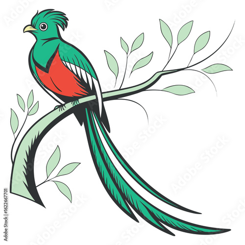 Quetzal bird