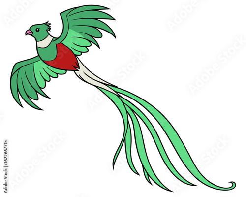 Quetzal bird