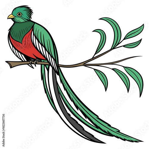 Quetzal bird