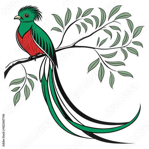 Quetzal bird