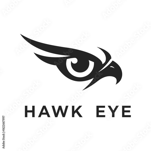  Hawk Eye with Flying Eagle Head Logo Vector Illustration
