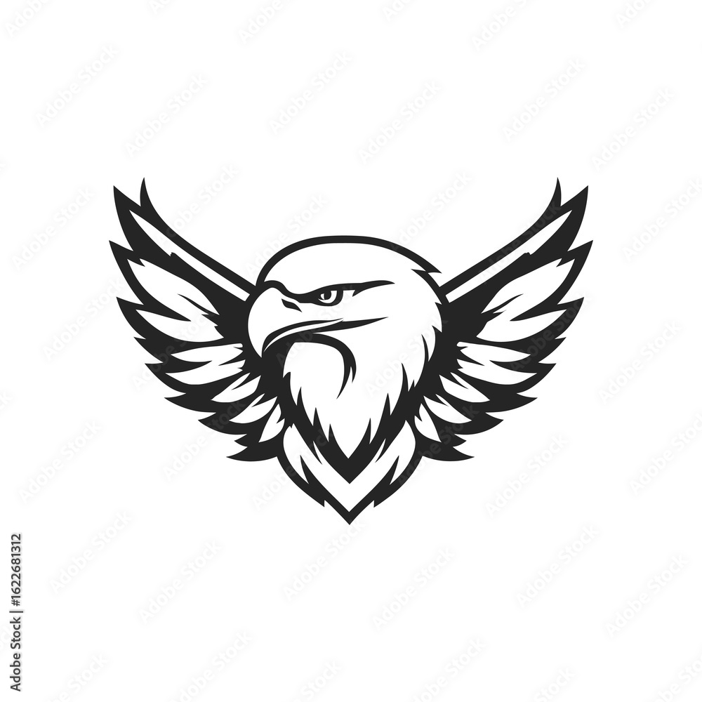 Obraz premium eagle with wings