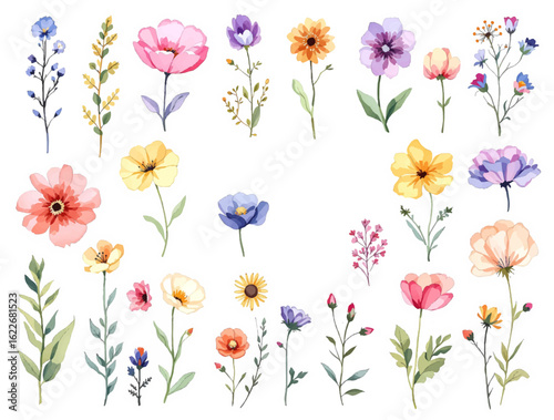Іet of colorful flowers