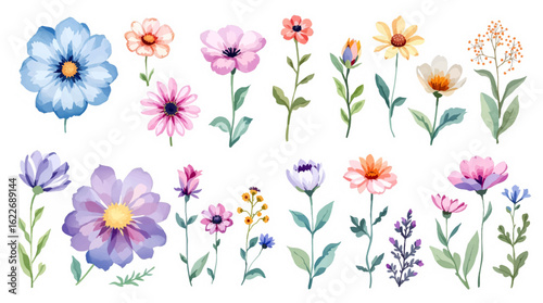 Spring watercolor flowers vector illustration, Colorful spring flowers, Set of watercolor flowers, Clipart watercolor flowers	