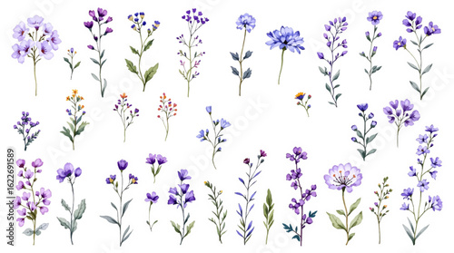 Floral pattern with flowers and butterflies in a garden style illustration