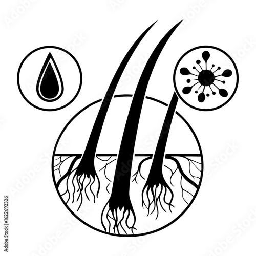 Hair structure with roots, and symbolizing moisture and health  