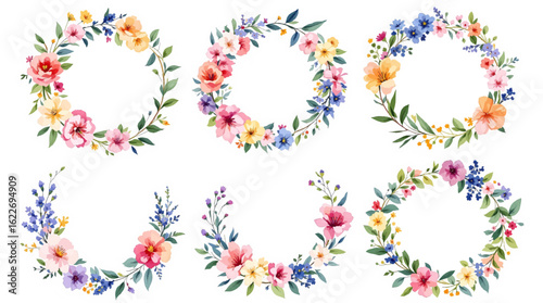 set of colorful floral elements