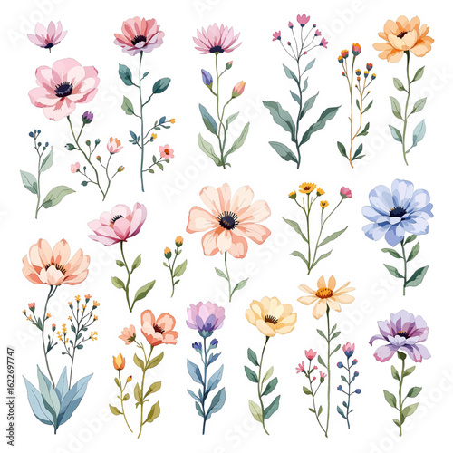 Set of watercolor flower illustration. Use by fabric, fashion, wedding invitation, template, poster, romance, greeting, spring, bouquet, pattern, decoration and textile