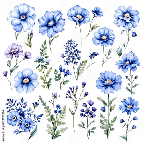 seamless floral pattern