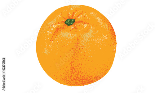 Fruits of the spirit. Orange art. Summer food poster design. Orange fruit set.