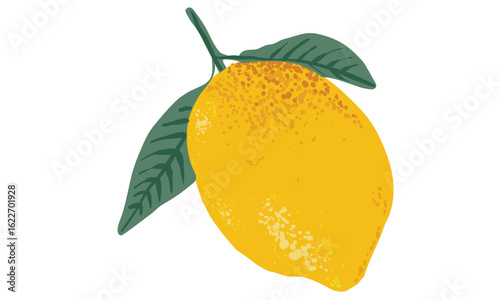 Summer food poster design. Lemon fruit artwork. Fresh lemon fruit print. Lemonade art. Nature fruit club print design. Organic food artwork for for t-shirt. Fruit vintage t-shirt design. Squeezed art.