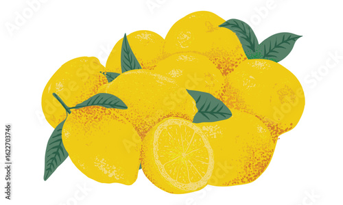 Fresh lemon fruit print. Lemonade art. Nature fruit club print design. Organic food artwork for for t-shirt. Fruit vintage t-shirt design. Squeezed art. Summer food poster design. Lemon fruit artwork.