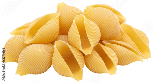 Isolated Pile of Conchiglie Pasta