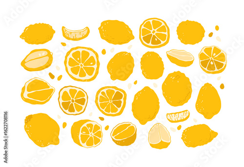 Set of lemons. Hand drawn citrus illustration. Vitamin C fruits
