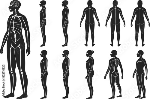 Vector silhouette illustrations of a male and female fashion model's full body in various artistic poses, with both front and back views to show the complete human anatomy
