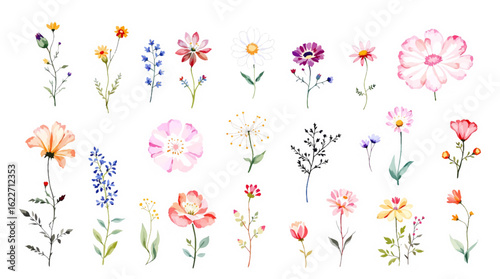 Set of colorful flowers, Set of watercolor flowers, Clipart watercolor flowers