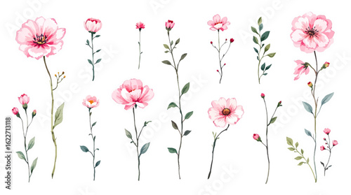 pink flowers background