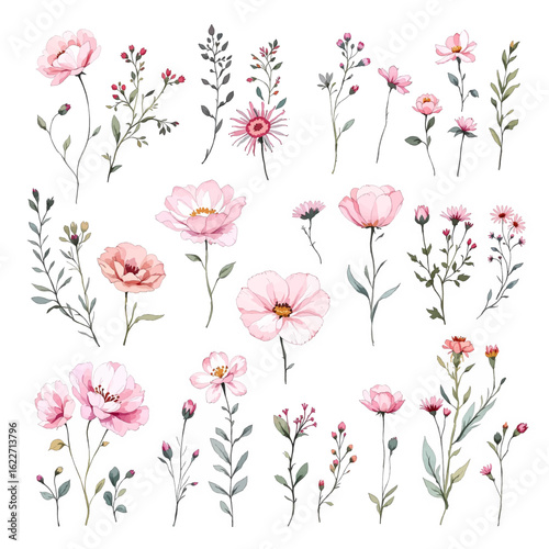 Wallpaper Mural Seamless pattern with flowers and butterflies, Collection of flowers, Set of watercolor flowers, Clipart watercolor flowers Torontodigital.ca