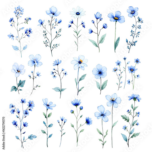 Wallpaper Mural Collection of flowers, Set of watercolor flowers, Clipart watercolor flowers Torontodigital.ca