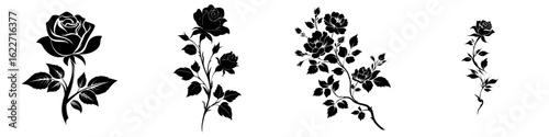 Modern illustration featuring the black silhouette of a rose flower, complete with leaves and stem, isolated on a white background