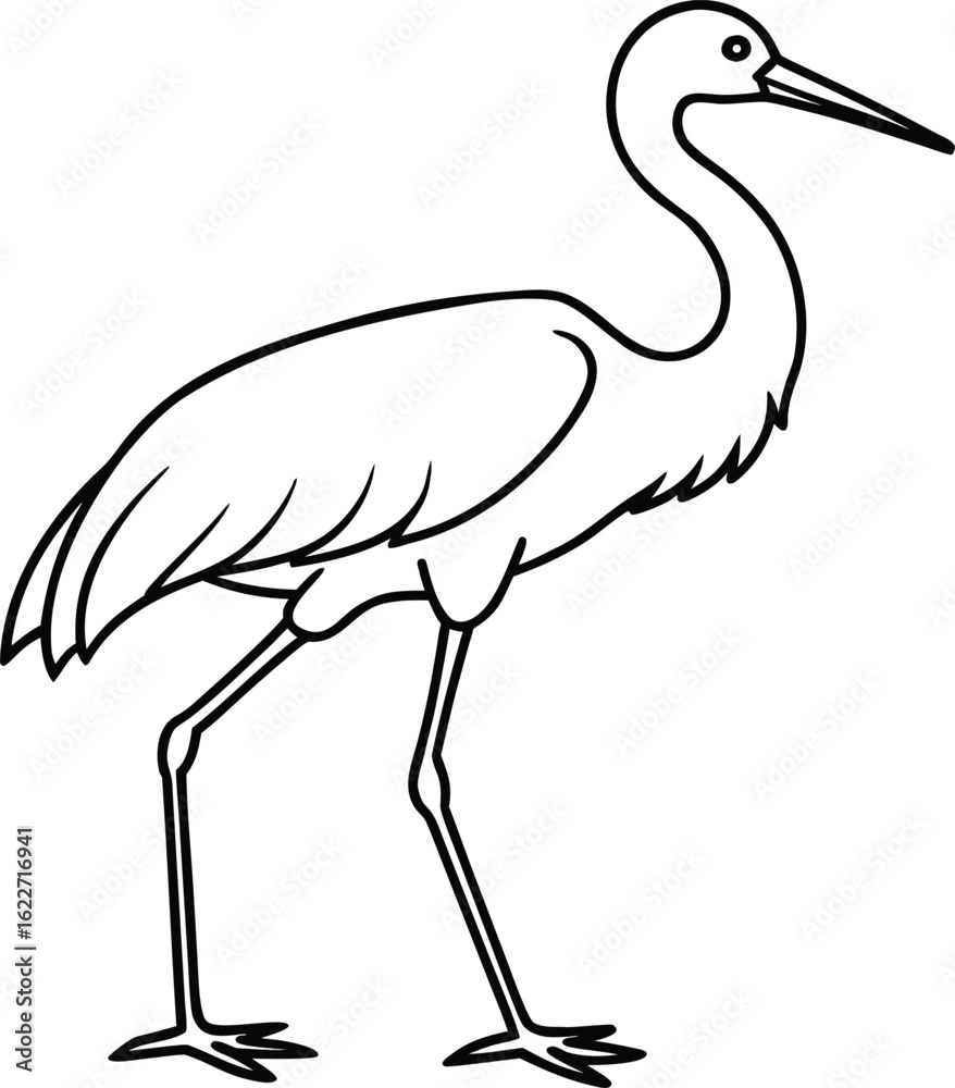 Obraz premium Black and white line art of a stork walking bird outline