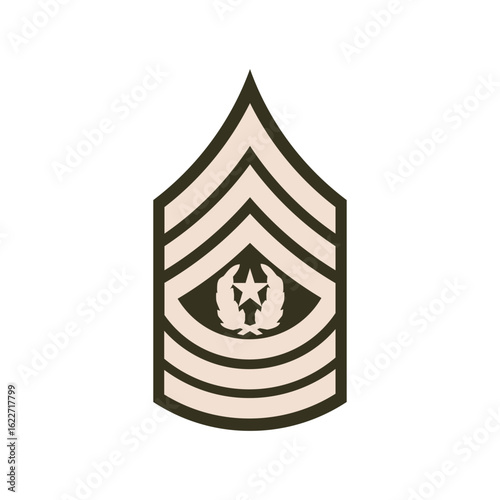 Shoulder Pad Rank Insignia United States Army Command Sergeant Major