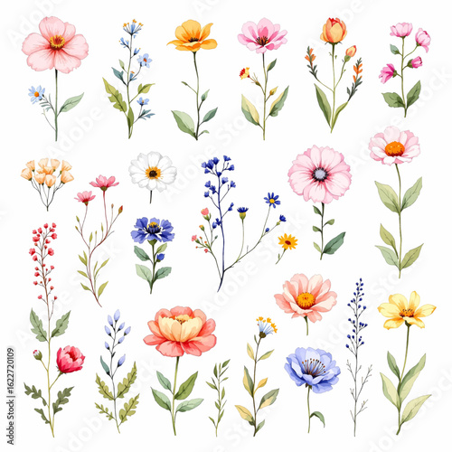 Set of green watercolor leaves and flowers on isolated background. watercolor floral package collection. Use by fabric, fashion, wedding invitation, template, romance, greeting, spring, bouquet	