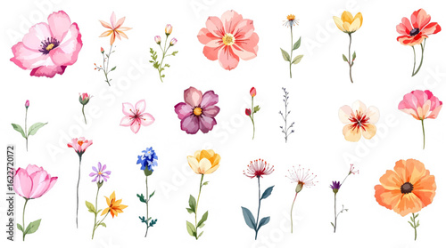 Floral bouquet design: garden pink orchid flower, hibiscus, magnolia Eucalyptus branch greenery leaves berry. Wedding vector invite card. Designer element set. White background.