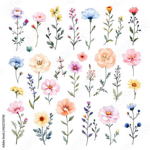 Wallpaper Mural Set watercolor flowers and butterflies, seamless pattern with flowers Torontodigital.ca