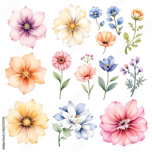 Wallpaper Mural Collection of flowers, Set of flowers, Set of colorful floral elements Torontodigital.ca