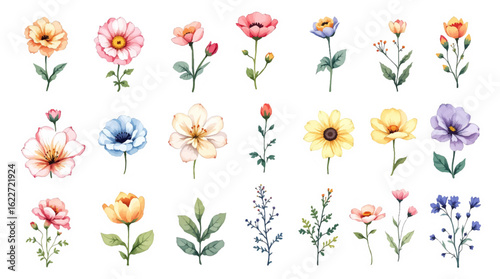 Wallpaper Mural Set of flowers, Set of colorful floral elements Torontodigital.ca