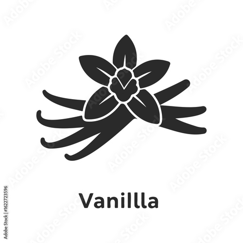 Silhouette of vanilla flower and pods with bold text below