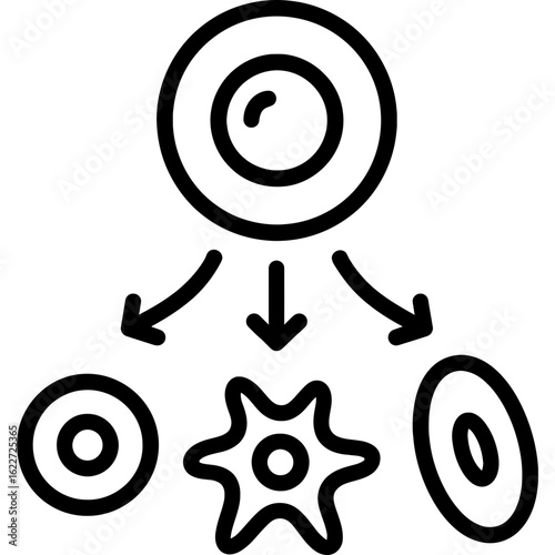 Stem cells dividing and differentiating outline icon vector