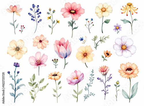 Wallpaper Mural Tulips on white background, Bouquet of flowers, Set Flower art Torontodigital.ca