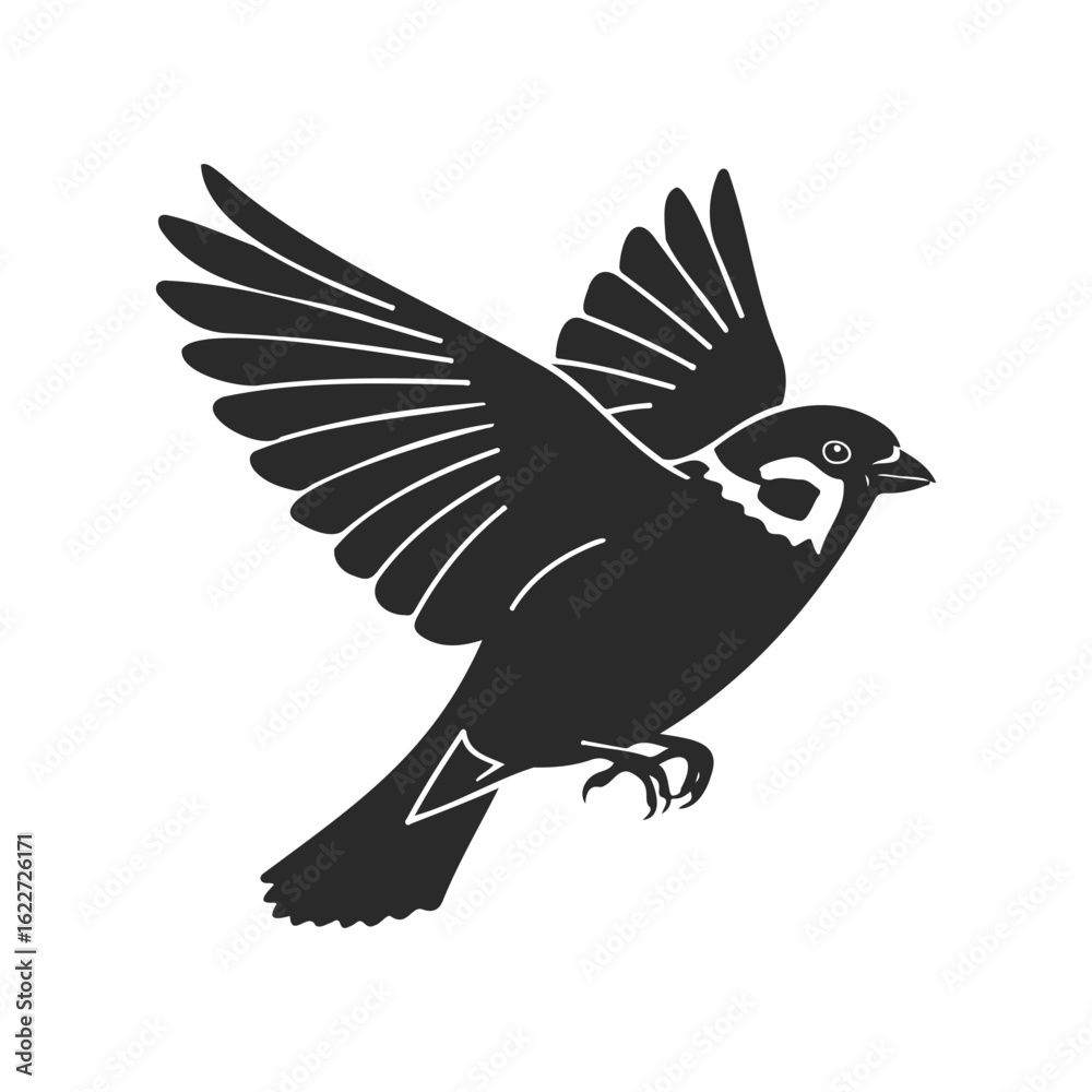 Fototapeta premium Silhouette of a sparrow in flight on white background