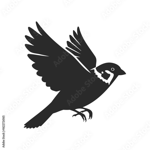 Silhouette of a sparrow in flight with outstretched wings