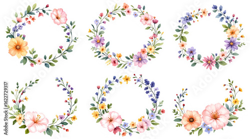 Set of floral elements, Tulips on white background, Bouquet of flowers, Set Flower art