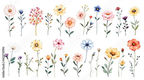 Spring flower background