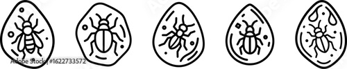 Amber insect specimen outline vector