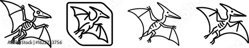 Pterosaur fossil wing membrane outline vector