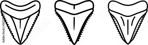 Shark tooth fossil triangular blade outline vector