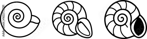 Gastropod fossil snail shell outline vector