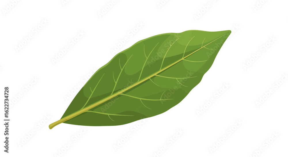 Obraz premium Green Tropical Leaf Vector – Fresh Nature Botanical Illustration 