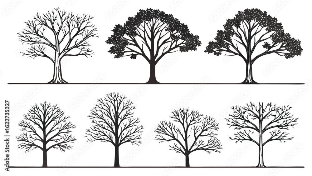 Fototapeta premium Collection of Eight Stylized Tree Silhouettes in Black and White trees nature