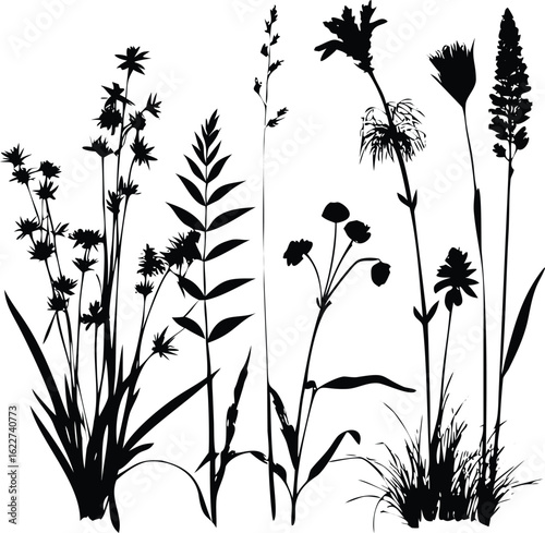 Black background Keywords: black, solid, plain, dark, background, texture, abstract, simple, empty, copy space, minimal, monochrome, deep, shadow, void, night, absence, gloom, obscurity, blank