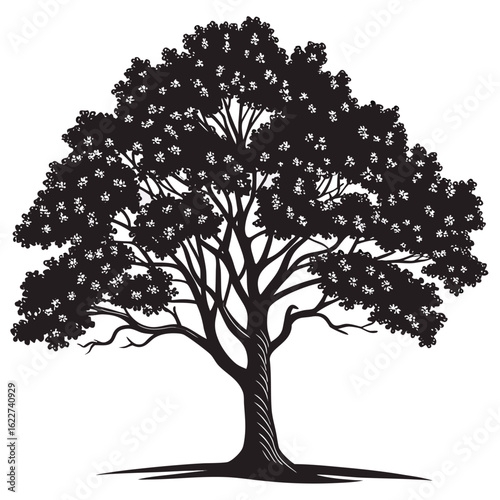 Black silhouette of a lush, leafy tree with detailed branches on a white background foliage