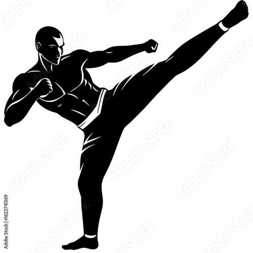 Black kickboxer high kick silhouette martial arts white